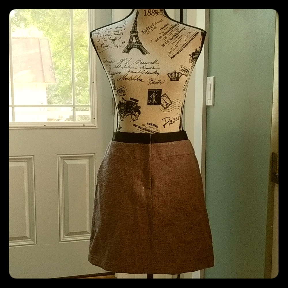 Ann Taylor Loft snake print skirt size 10